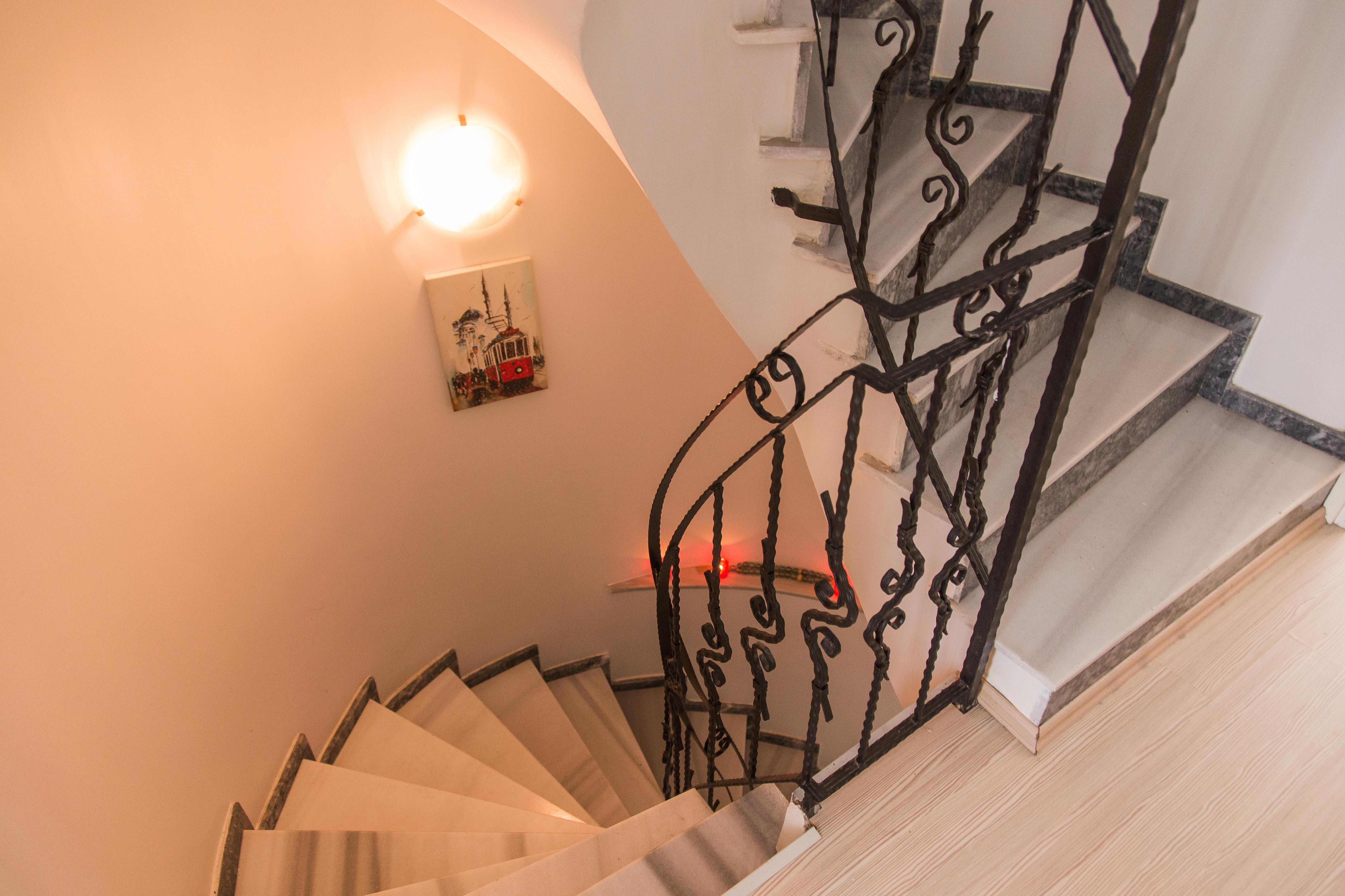 The House Of Tulpan — Photos 1