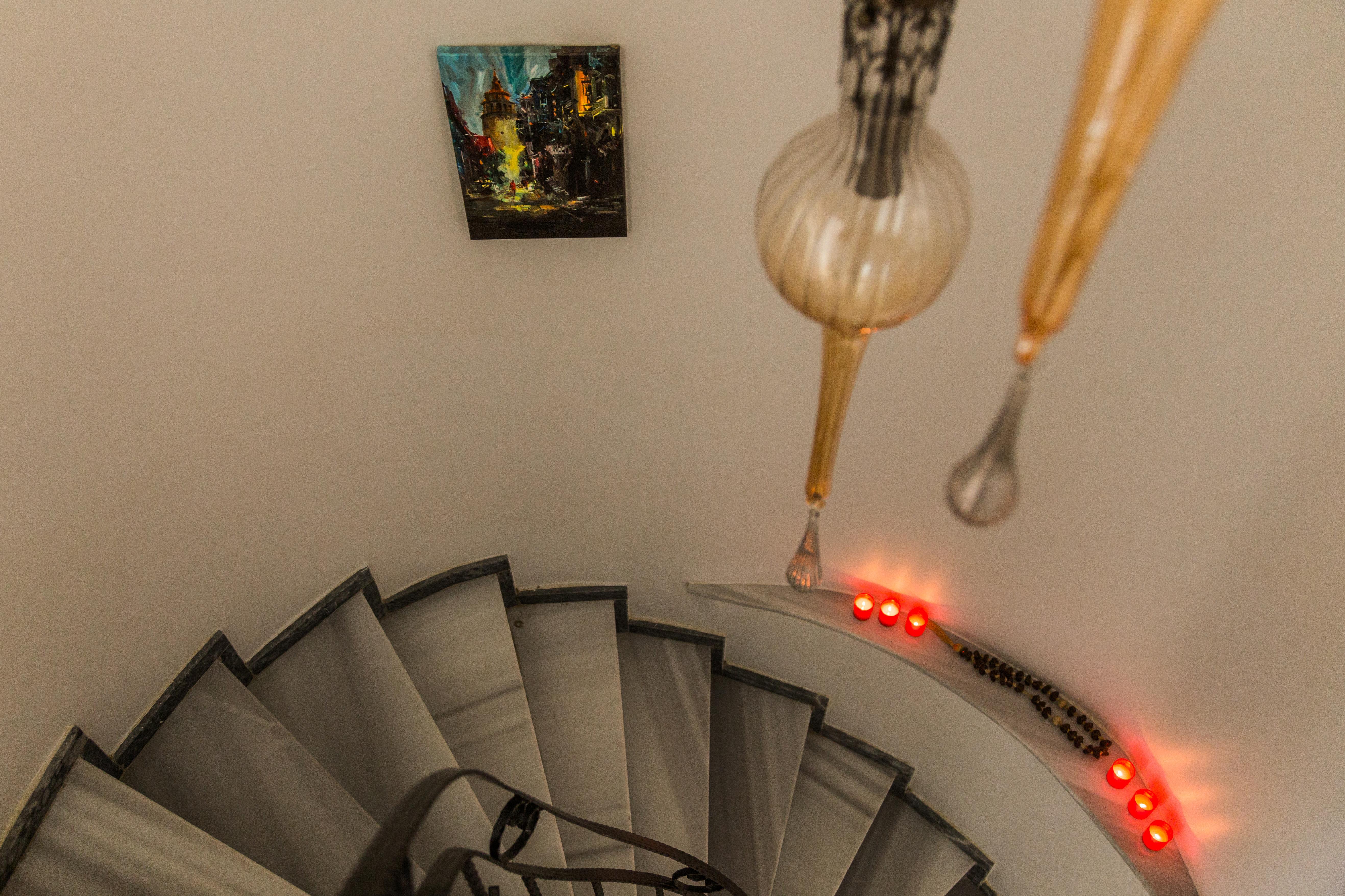 The House Of Tulpan — Photos 3